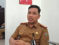 Risky R. Badjuri : Perkebunan Kakao Daerah Pundu Berpotensi Jadi Agrowisata 