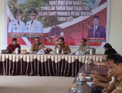 Kabar Gembira, Periode Februari 2023 TBS Kelapa Sawit Kalteng Kembali Alami Kenaikan