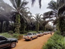 Konflik di PT. BJAP 3, GAPKI Kalteng Angkat Bicara