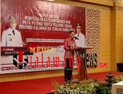 Penyediaan Data, Peluang dan Potensi Usaha Harap Tarik Minat Investor