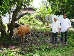 Momentum Idul Adha, Dishut Kalteng Sumbangkan 9 ekor sapi dan 2 ekor kambing