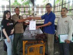 Seekor Buaya Sepit Dihibahkan Ke BKSDA