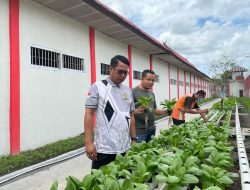 Panen Sayur Pakcoy Hasil Hidroponik Kegiatan Pembinaan Warga Binaan Lapas Sampit