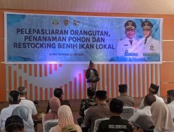 Pemprov Lepas Orang Utan, Tanam Pohon, dan Tebar Ikan di Nyaru Menteng