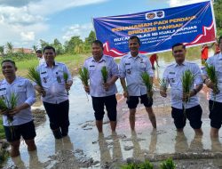 Dukung Asta Cita Presiden, Kakanwil Ditjenpas Kalteng Laksanakan Penanaman Padi Perdana di Lahan Ketahanan Pangan Rutan Kuala Kapuas