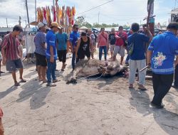 Menjaga Tradisi Leluhur Lewat Tiwah Massal di Pulang Pisau