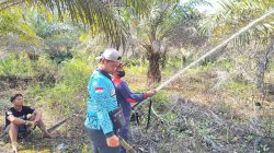 Respons Cepat Tanggap! Dalkarhutla Dishut Kalteng Jinakkan Karhutla di Katingan Meski Terkendala Air
