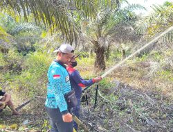 Respons Cepat Tanggap! Dalkarhutla Dishut Kalteng Jinakkan Karhutla di Katingan Meski Terkendala Air