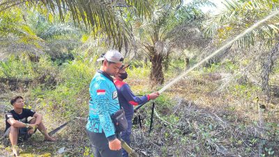 Respons Cepat Tanggap! Dalkarhutla Dishut Kalteng Jinakkan Karhutla di Katingan Meski Terkendala Air