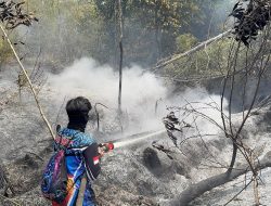 Sigap! Lahan Gambut Berpasir Terbakar di Kereng Bangkirai Berhasil Dijinakkan Petugas Dishut Kalteng