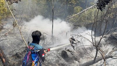 Sigap! Lahan Gambut Berpasir Terbakar di Kereng Bangkirai Berhasil Dijinakkan Petugas Dishut Kalteng