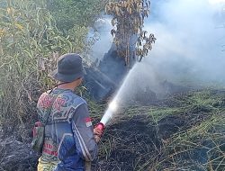 Melawan Waktu dan Asap: Detik-Detik Tim Gabungan Padamkan Karhutla Katingan hingga Larut Malam