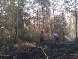 Sigap! Karhutla Lahan Bergambut di Desa Madara Berhasil Dipadamkan Tanpa Perluasan