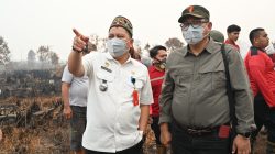 Sumur Bor dan Embung Jadi Andalan Baru Kalteng Tekan Angka Karhutla