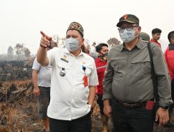 Sumur Bor dan Embung Jadi Andalan Baru Kalteng Tekan Angka Karhutla