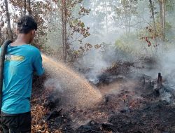 Sinergi Cepat Tanggap: Tim Gabungan Jinakkan Karhutla Lahan Gambut Tumbang Nusa