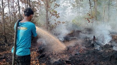 Sinergi Cepat Tanggap: Tim Gabungan Jinakkan Karhutla Lahan Gambut Tumbang Nusa