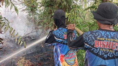 Pantang Pulang Sebelum Padam, Dishut Kalteng Gempur Titik Api Karhutla di Kalampangan