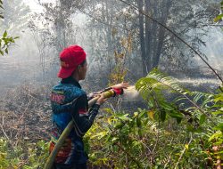 Hadapi Gambut Kering, Semangat Pantang Menyerah Tim Gabungan Berhasil Jinakkan Api di Sabaru