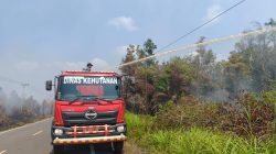 Cegah Api Meluas, Petugas Dishut Kalteng Jinakkan Karhutla di Jalan Trans Palangka Raya–Buntok