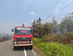 Cegah Api Meluas, Petugas Dishut Kalteng Jinakkan Karhutla di Jalan Trans Palangka Raya–Buntok
