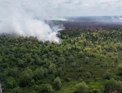 Gubernur Kalteng Instruksikan Kesiapsiagaan, Dishut Intensifkan Pantauan Drone di Tahura