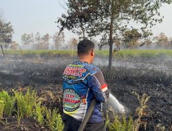 Aksi Sigap Dalkarhutla Kalteng Padamkan Kebakaran Lahan di Jalan Petuk Ketimpun