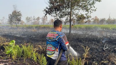 Aksi Sigap Dalkarhutla Kalteng Padamkan Kebakaran Lahan di Jalan Petuk Ketimpun