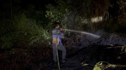 Cegah Meluasnya Karhutla, Dishut Kalteng Bersama Tim Gabungan Sigap Padamkan Lahan Gambut di Katingan