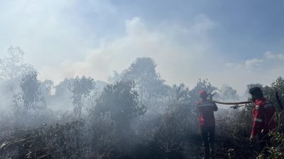 Cegah Perluasan Api, Tim Gabungan Kerahkan Water Cannon dan Pompa untuk Padamkan Karhutla Kumai