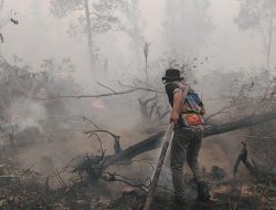 Krisis Air di Lokasi Gambut Dalam, Petugas Karhutla Tumbang Nusa Andalkan Sumur Warga