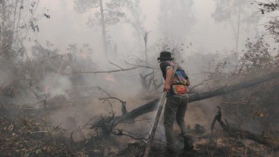 Krisis Air di Lokasi Gambut Dalam, Petugas Karhutla Tumbang Nusa Andalkan Sumur Warga