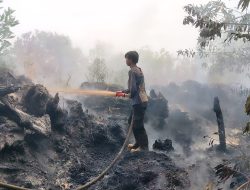 Pantang Lengah Hadapi Karhutla, Sinergi Tim Gabungan Padamkan Api di Petuk Ketimpun
