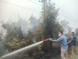 Bara Masih Menyala di Dalam Tanah, Dishut Kalteng Intensifkan Pendinginan Karhutla Desa Taruna