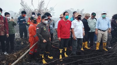 Darurat Karhutla Kalteng, Wamenko Pangan Minta Pengerahan Seluruh Sumber Daya
