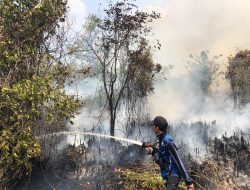 Tim Gabungan Darkahutla Dishut Kalteng Intensifkan Pemadaman Karhutla di Petuk Ketimpun