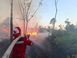KPHP Kapuas Bersama TNI-Polri Jinakkan Karhutla 3 Hektare di Timpah