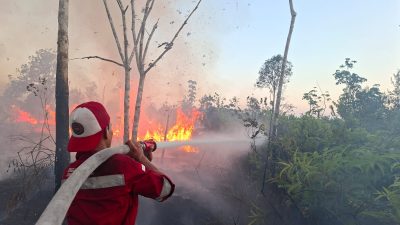 KPHP Kapuas Bersama TNI-Polri Jinakkan Karhutla 3 Hektare di Timpah