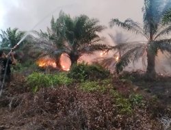 Kadishut Kalteng: Pendinginan Karhutla Baun Bango Terus Digencarkan Pasca-Operasi Dini Hari