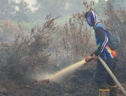 125 Hotspot Terdeteksi, Dishut Kalteng Intensifkan Pemadaman