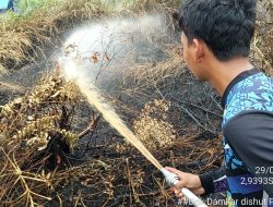 Hujan Bantu Padamkan Karhutla di Sebangau Kuala, Tim Tetap Siaga Lakukan Pendinginan