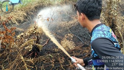Hujan Bantu Padamkan Karhutla di Sebangau Kuala, Tim Tetap Siaga Lakukan Pendinginan