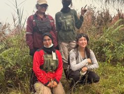 Turun ke Lahan Gambut Kalteng, Sherina Munaf Suarakan Nasib Satwa Terdampak Karhutla