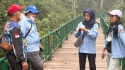 Pastikan Keselamatan Satwa, Dishut Kalteng Tinjau Nyaru Menteng