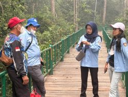 Pastikan Keselamatan Satwa, Dishut Kalteng Tinjau Nyaru Menteng