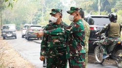 Pastikan Penanganan Karhutla, Pangdam XXII/ TB Tinjau Pemadaman di Sie Gohong