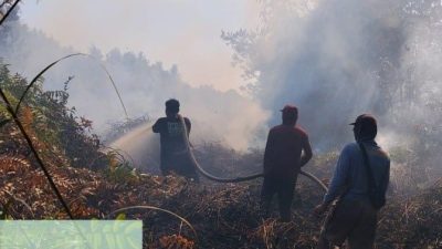 TTA Group Dukung Pemadaman dan Pendinginan Karhutla di Kanal C