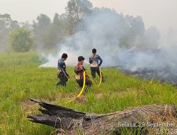Kadishut Kalteng: Pemadaman Karhutla di Tahura Isen Mulang Terus Digencarkan