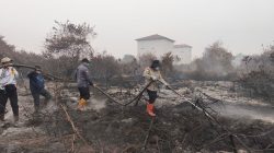 Task Force Siaga: Sinergi ASN & Relawan di Garis Depan