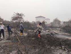 Task Force Siaga: Sinergi ASN & Relawan di Garis Depan